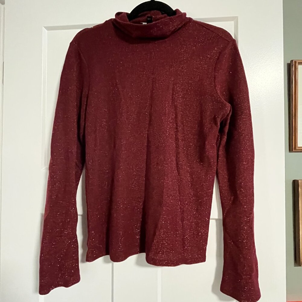Express Burgundy Long Sleeve Turtleneck